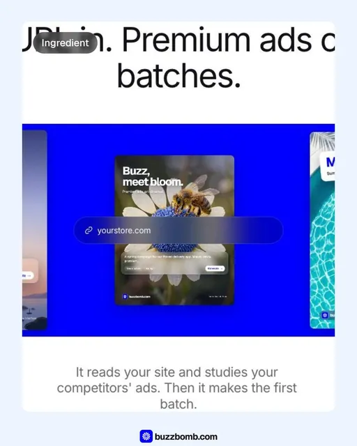 Video for BuzzBomb: "Finished ads, priced by the month.". Before after wipe, 6.0 s, light palette.