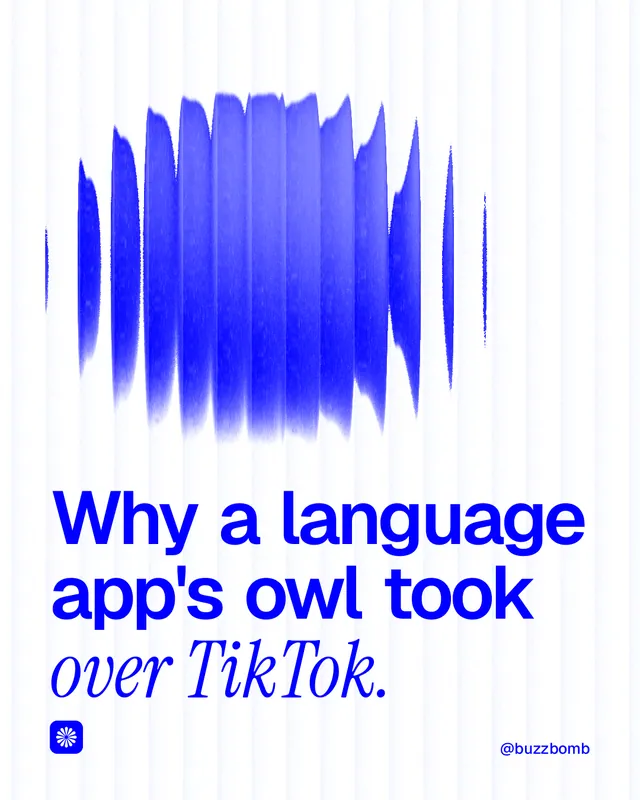 Instagram portrait post for BuzzBomb: "Why a language app's owl took over TikTok." Auto 4x5 style, technique:shader field layout, light palette in white, blue.