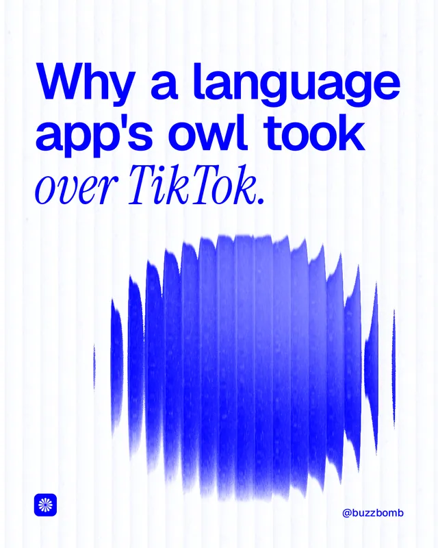 Instagram portrait post for BuzzBomb: "Why a language app's owl took over TikTok." Auto 4x5 style, technique:shader field layout, light palette in white, blue.
