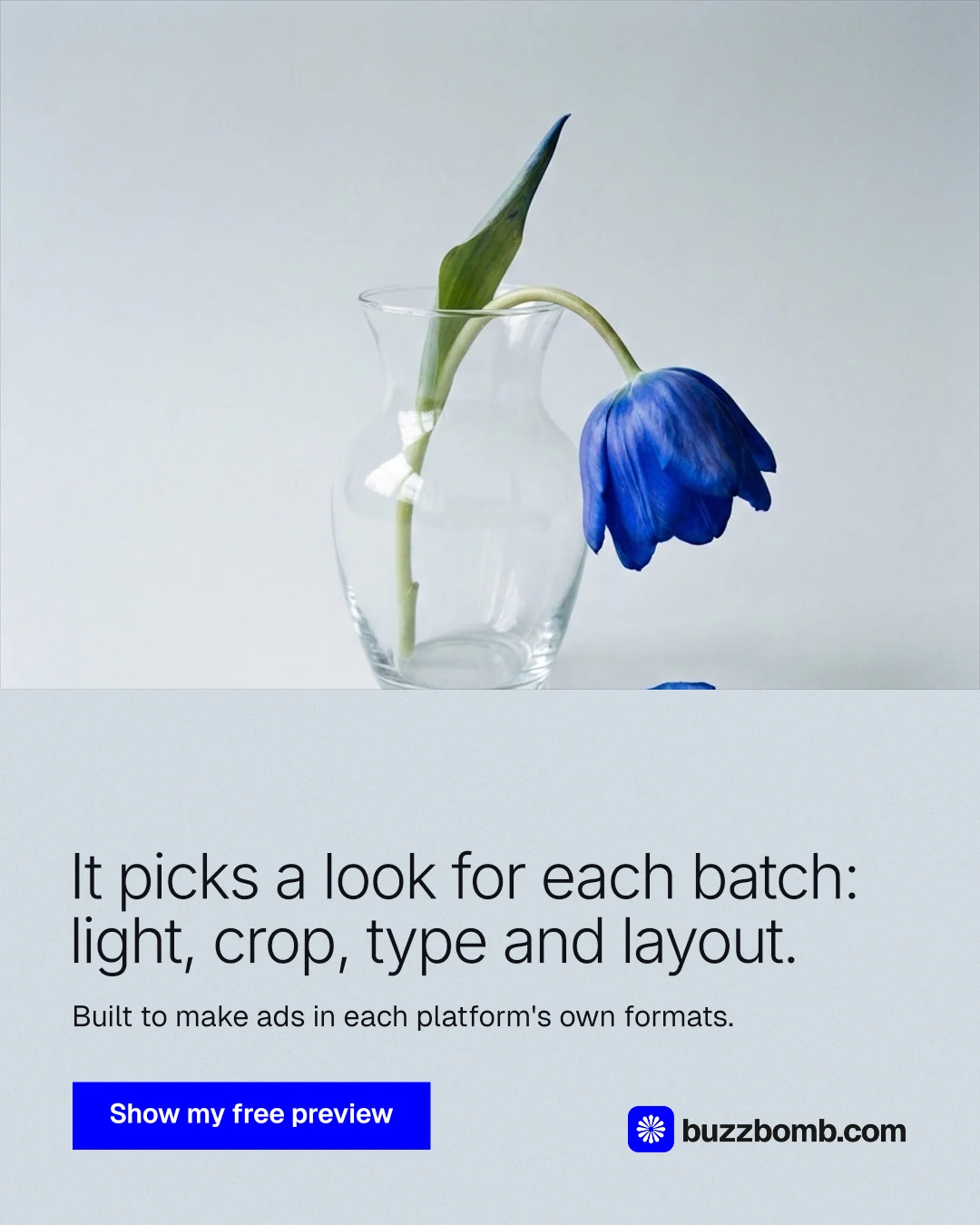 Instagram portrait post for BuzzBomb: "It picks a look for each batch: light, crop, type and layout." Swiss style, bottom layout, light palette in white, blue.