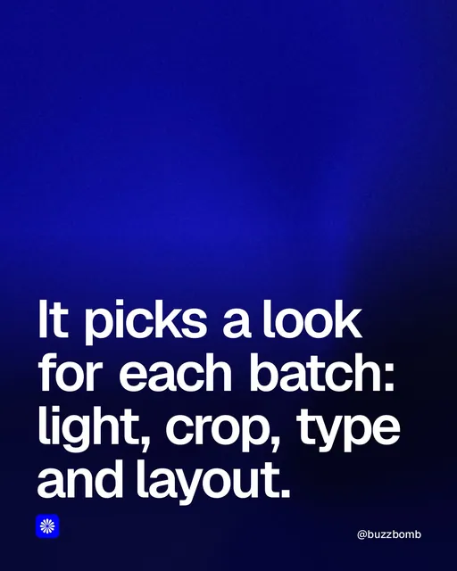 Video for BuzzBomb: "It picks a look for each batch: light, crop, type and layout.". Shader loop, 6.0 s, dark palette.