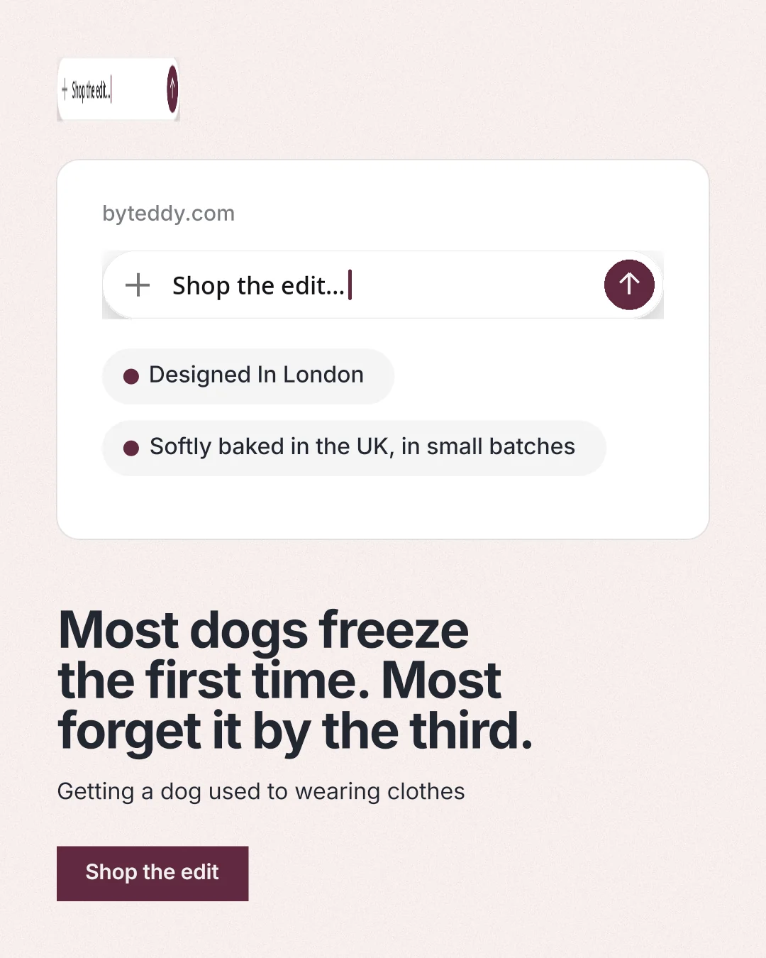 Instagram portrait post for By Teddy: "Most dogs freeze the first time. Most forget it by the third." Swiss style, bottom layout, light palette in white.