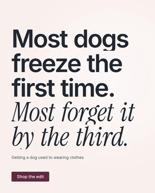 Video for By Teddy: "Most dogs freeze the first time. Most forget it by the third.". Doc motion loop, 8.0 s, light palette.