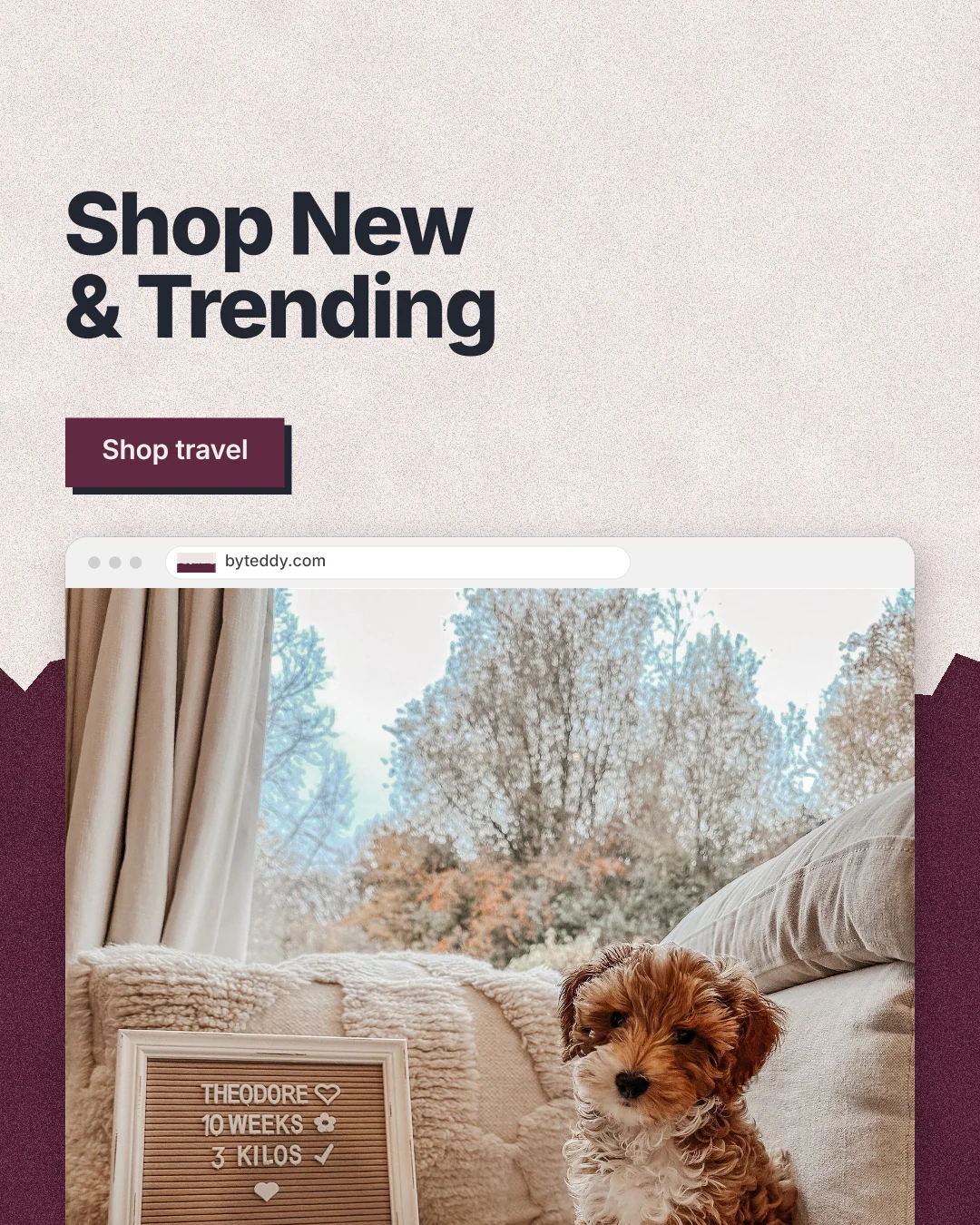 Instagram portrait post for By Teddy: "Shop New & Trending". Paper trio style, browser layout, light palette in orange, grey, red.