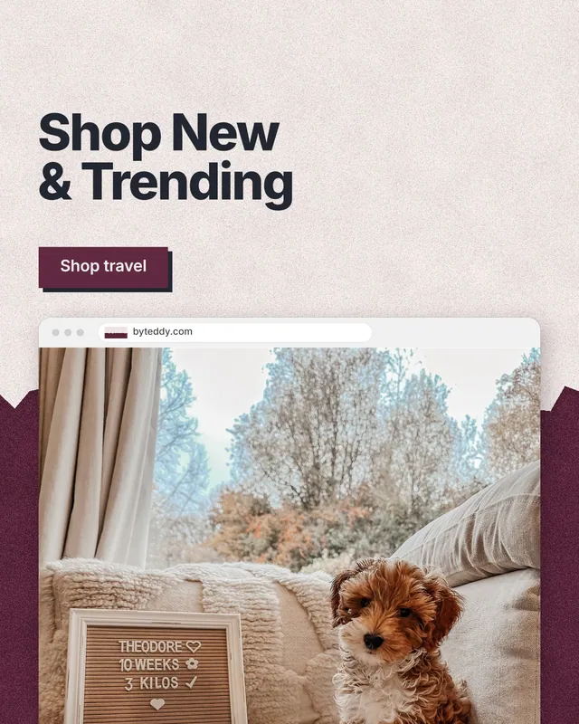 Instagram portrait post for By Teddy: "Shop New & Trending". Paper trio style, browser layout, light palette in orange, grey, red.