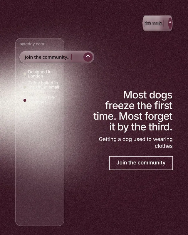 Instagram portrait post for By Teddy: "Most dogs freeze the first time. Most forget it by the third." Cyanotype style, right layout, dark palette in red, grey.