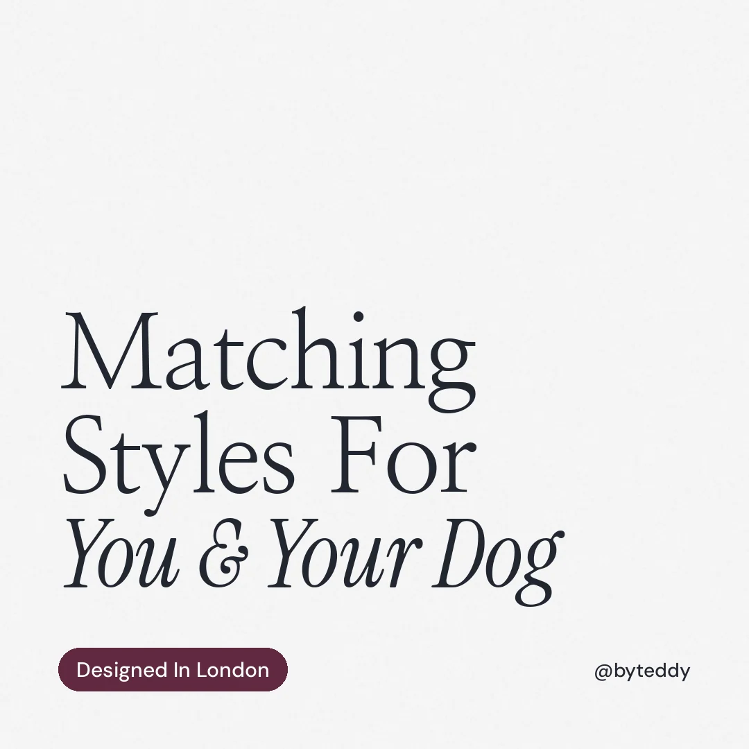 Instagram post for By Teddy: "Matching Styles For You & Your Dog". Caption style, technique:mixed type lockup layout, light palette in white, grey.