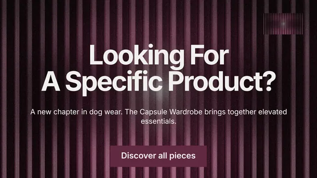 Landscape graphic for By Teddy: "Looking For A Specific Product?" Swiss style, centred layout, dark palette in red, black, grey.