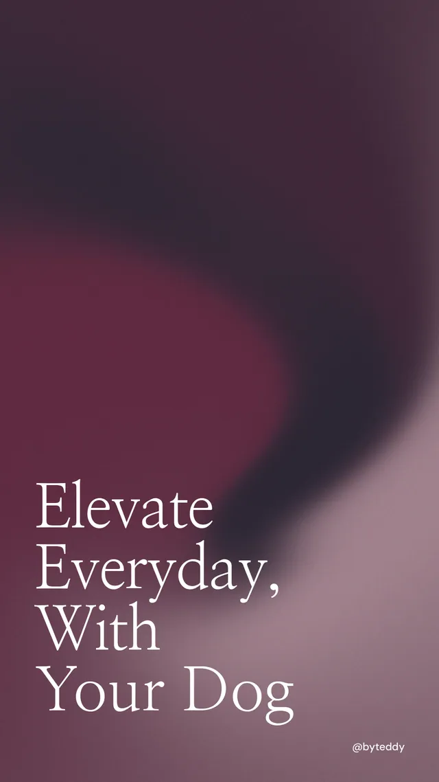Instagram story for By Teddy: "Elevate Everyday, With Your Dog". Auto 9x16 style, technique:shader field layout, dark palette in grey, pink, black.