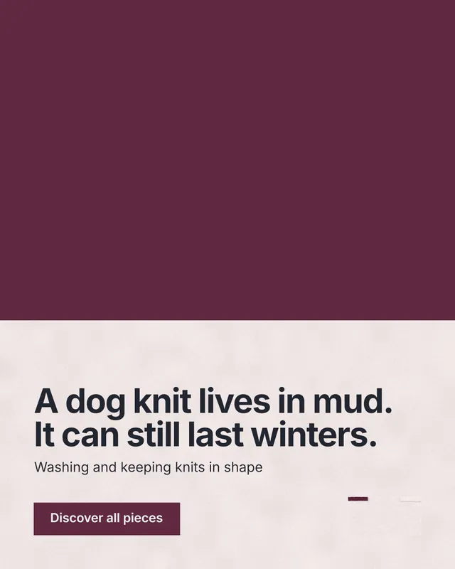 Instagram portrait post for By Teddy: "A dog knit lives in mud. It can still last winters." Swiss style, bottom layout, light palette in red, white, grey.