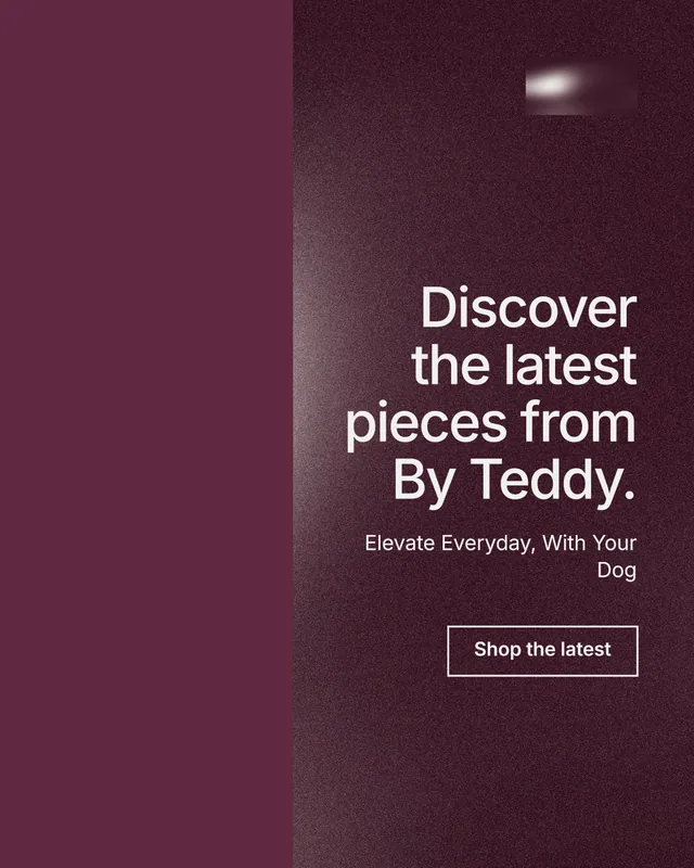 Instagram portrait post for By Teddy: "Discover the latest pieces from By Teddy." Cyanotype style, right layout, dark palette in red, grey.