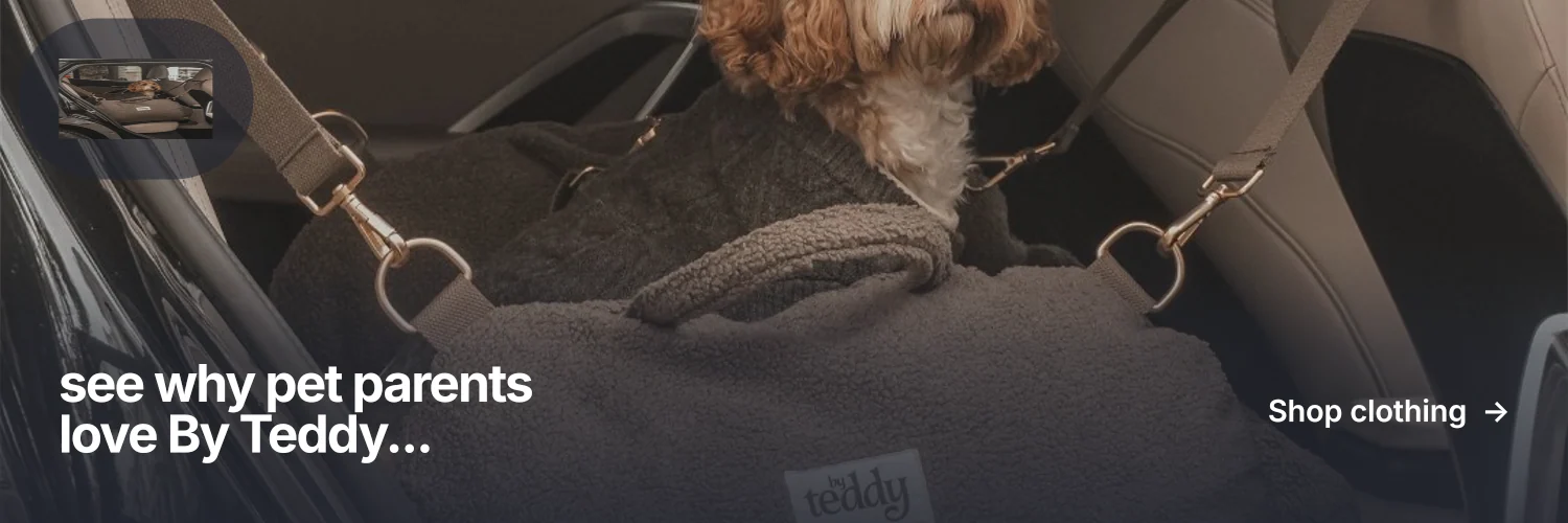 X header for By Teddy: "see why pet parents love By Teddy..." Swiss style, image led layout, dark palette in black, grey.