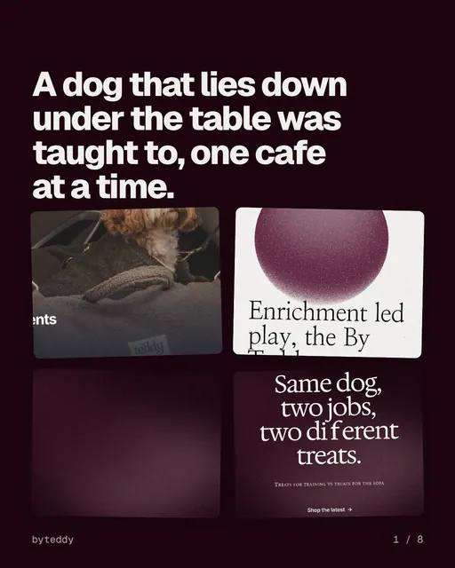 Carousel for By Teddy: "A dog that lies down under the table was taught to, one cafe at a time.". Collection carousel, 8 slides, dark palette.