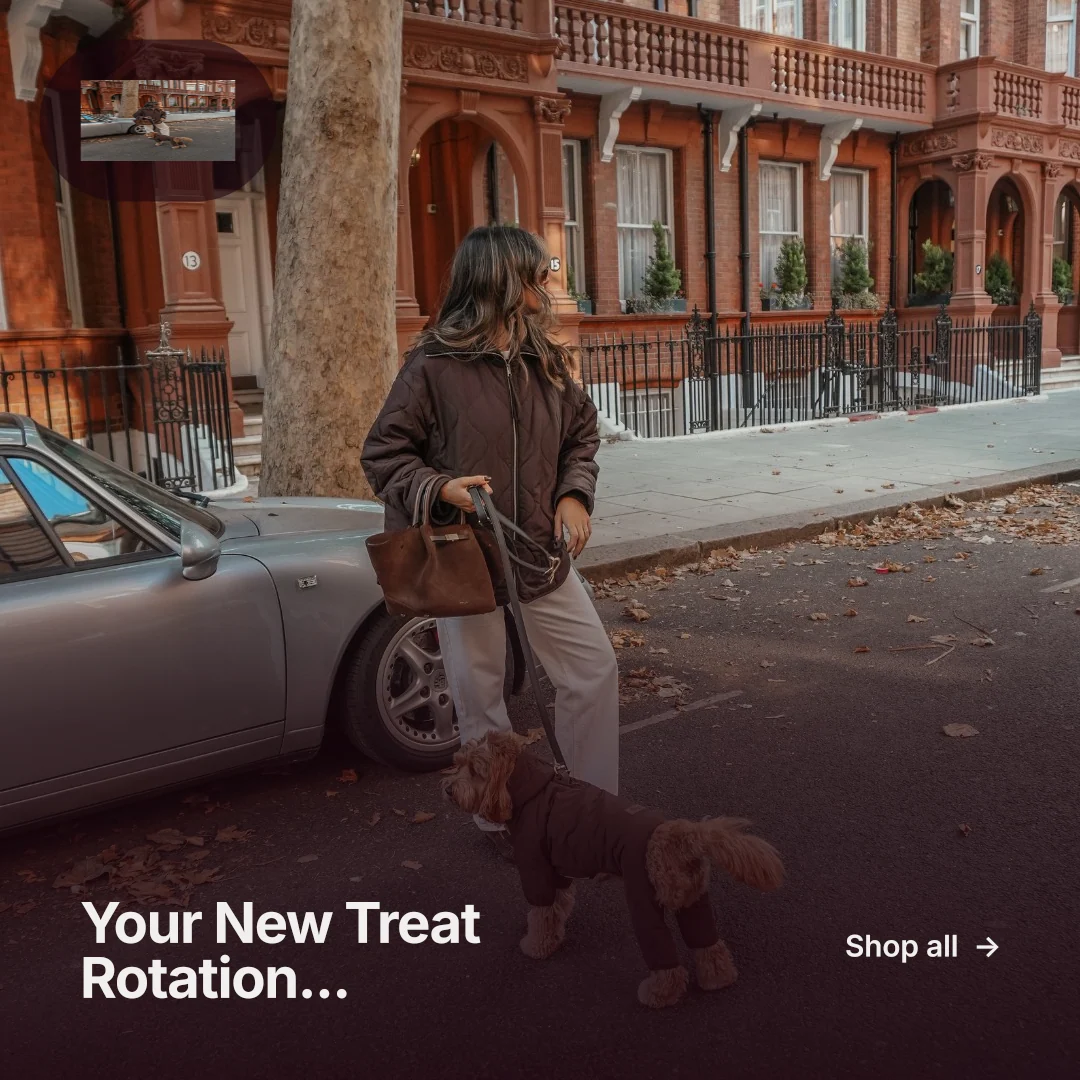Instagram post for By Teddy: "Your New Treat Rotation..." Swiss style, image led layout, dark palette in red, black, grey.