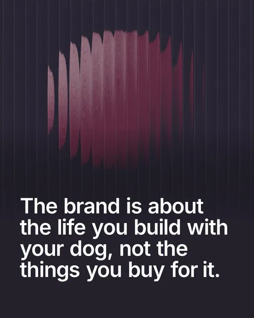 Video for By Teddy: "The brand is about the life you build with your dog, not the things you buy for it.". Shader loop, 6.0 s, dark palette.