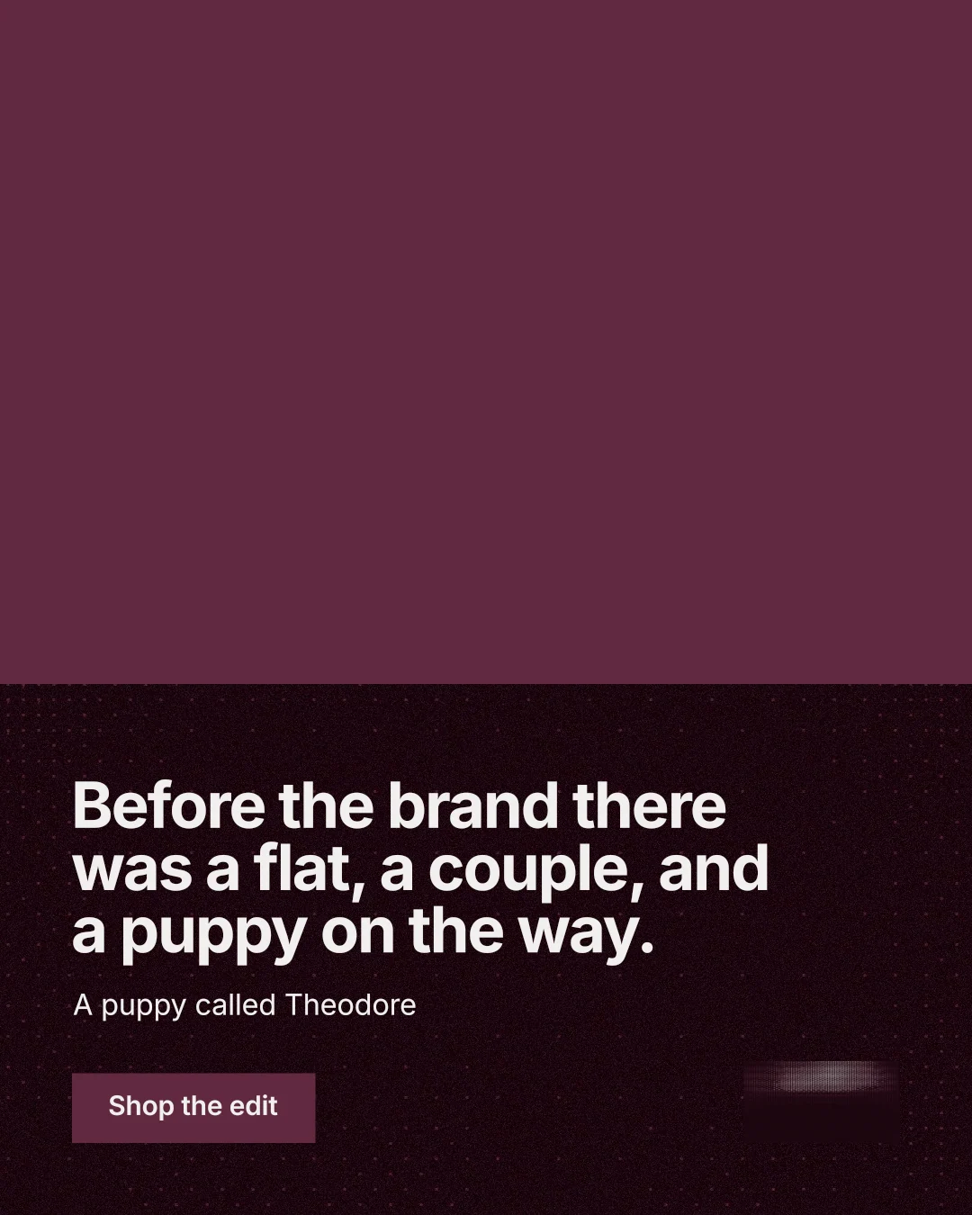 Instagram portrait post for By Teddy: "Before the brand there was a flat, a couple, and a puppy on the way." Swiss style, bottom layout, dark palette in red, black.