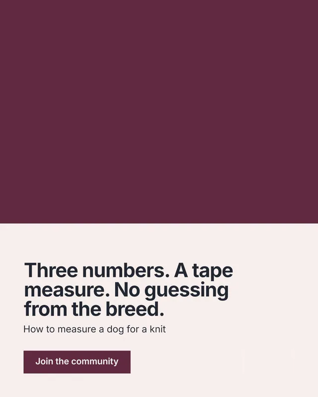 Instagram portrait post for By Teddy: "Three numbers. A tape measure. No guessing from the breed." Swiss style, bottom layout, light palette in red, white, grey.