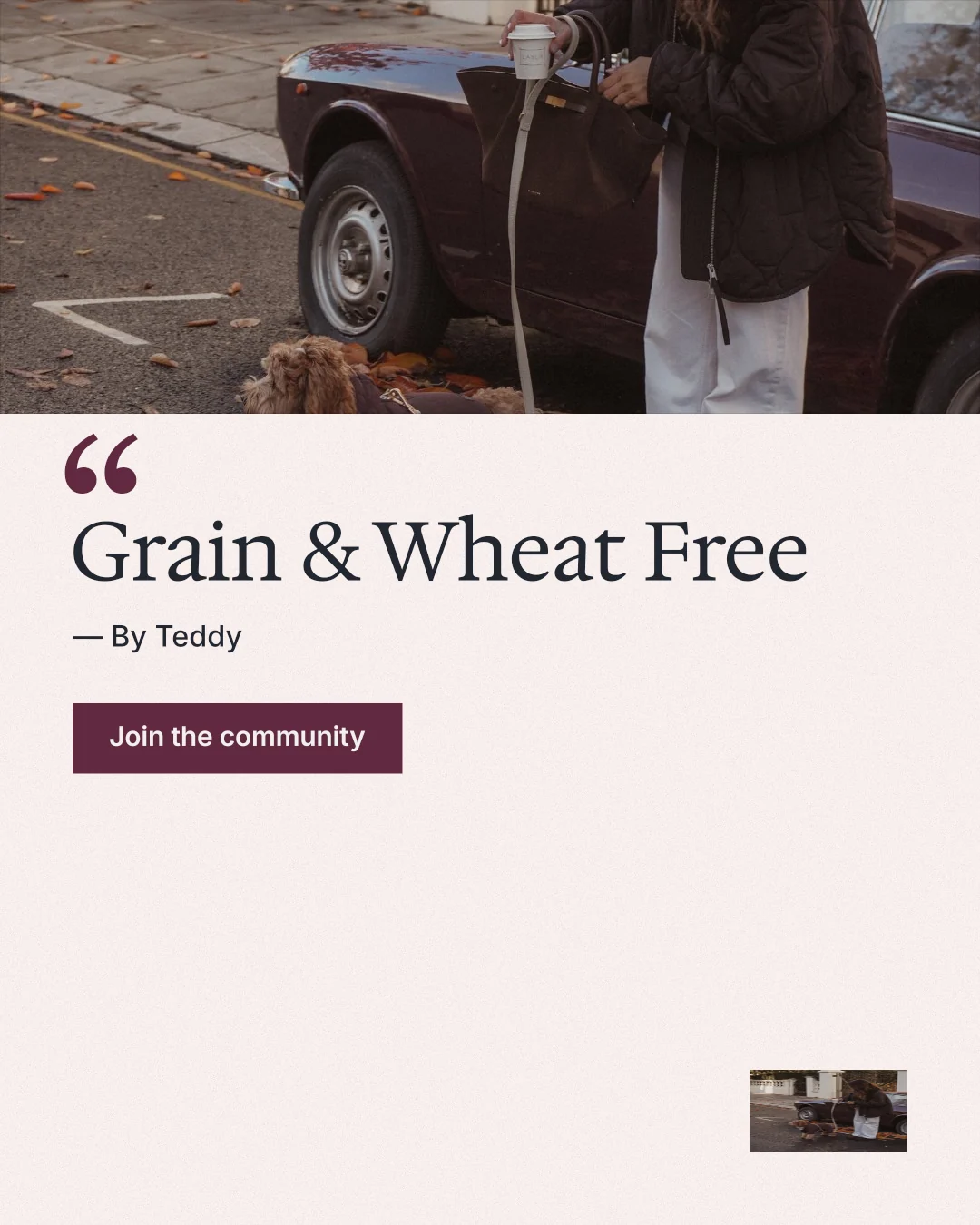 Instagram portrait post for By Teddy: "Grain & Wheat Free". Swiss style, quote layout, light palette in white, black, grey.