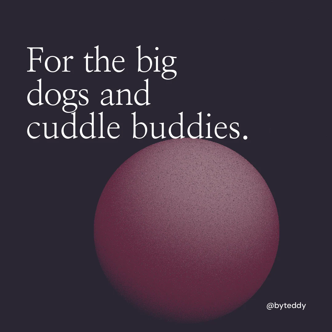 Instagram post for By Teddy: "For the big dogs and cuddle buddies." Auto 1x1 style, technique:shader field layout, dark palette in black, grey.