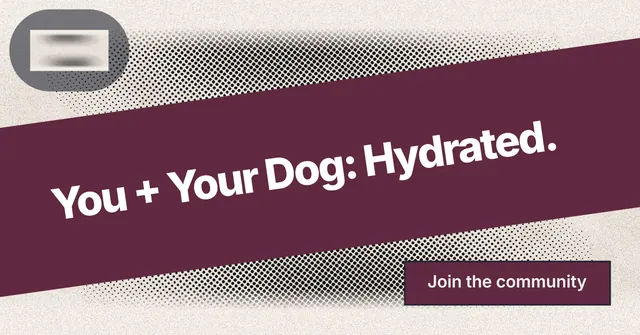 Social ad for By Teddy: "You + Your Dog: Hydrated." Ink sticker style, diagonal layout, light palette in red, orange, grey.