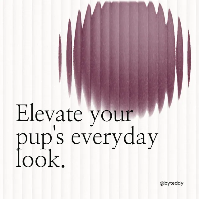 Instagram post for By Teddy: "Elevate your pup's everyday look." Auto 1x1 style, technique:shader field layout, light palette in white, red, grey.