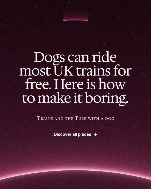 Instagram portrait post for By Teddy: "Dogs can ride most UK trains for free. Here is how to make it boring." Swiss style, smallcaps layout, dark palette in pink, black.