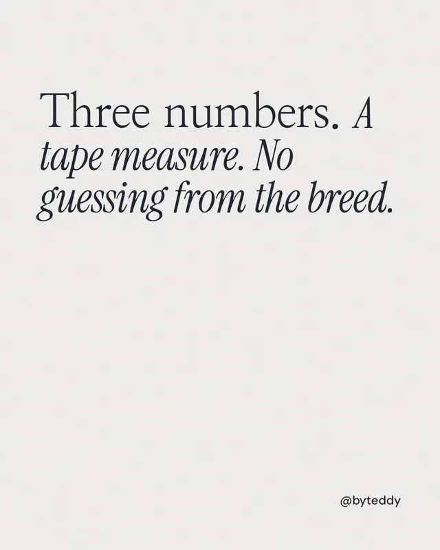 Instagram portrait post for By Teddy: "Three numbers. A tape measure. No guessing from the breed." Editorial style, technique:mixed type lockup layout, light palette in white.