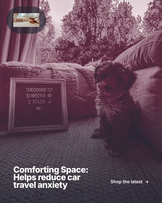 Instagram portrait post for By Teddy: "Comforting Space: Helps reduce car travel anxiety". Ink sticker style, image led layout, dark palette in black, pink, grey.