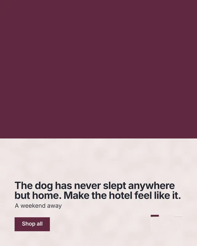 Instagram portrait post for By Teddy: "The dog has never slept anywhere but home. Make the hotel feel like it." Swiss style, bottom layout, light palette in red, white, grey.