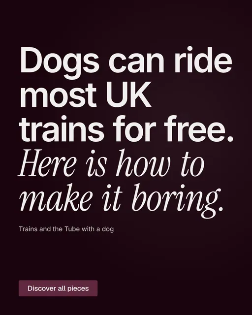 Video for By Teddy: "Dogs can ride most UK trains for free. Here is how to make it boring.". Doc motion loop, 6.0 s, dark palette.