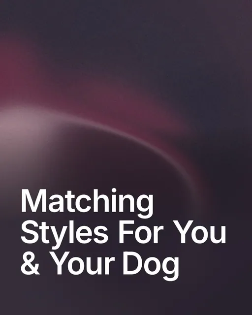 Video for By Teddy: "Matching Styles For You & Your Dog". Shader loop, 6.0 s, dark palette.