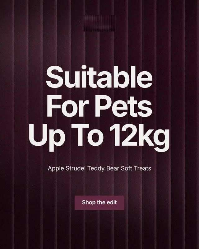 Instagram portrait post for By Teddy: "Suitable For Pets Up To 12kg". Swiss style, centred layout, dark palette in black, red, grey.