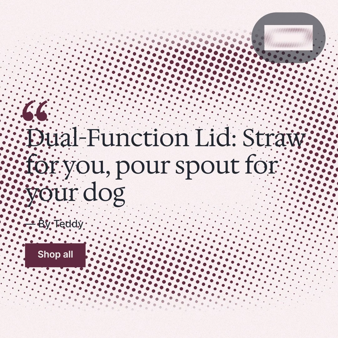 Instagram post for By Teddy: "Dual-Function Lid: Straw for you, pour spout for your dog". Swiss style, quote layout, light palette in red, white, grey.