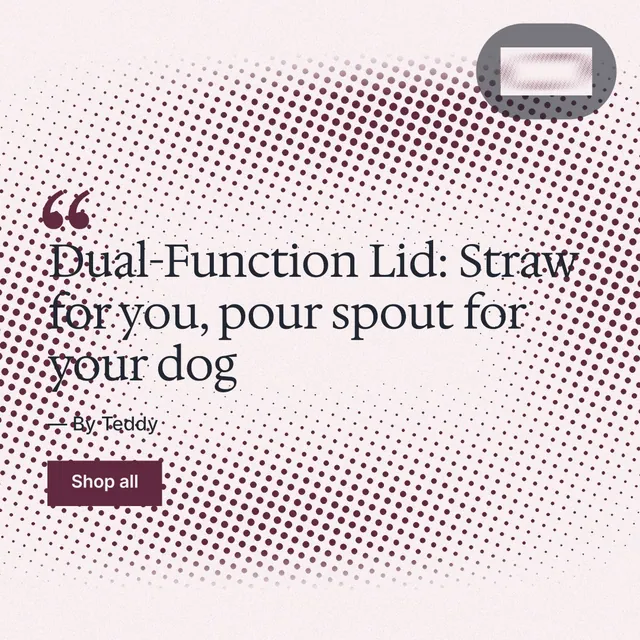 Instagram post for By Teddy: "Dual-Function Lid: Straw for you, pour spout for your dog". Swiss style, quote layout, light palette in red, white, grey.