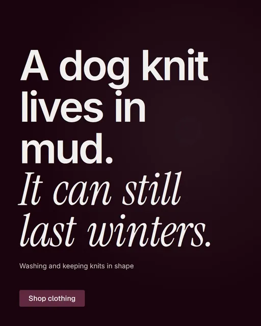 Video for By Teddy: "A dog knit lives in mud. It can still last winters.". Kinetic type grid, 6.0 s, dark palette.