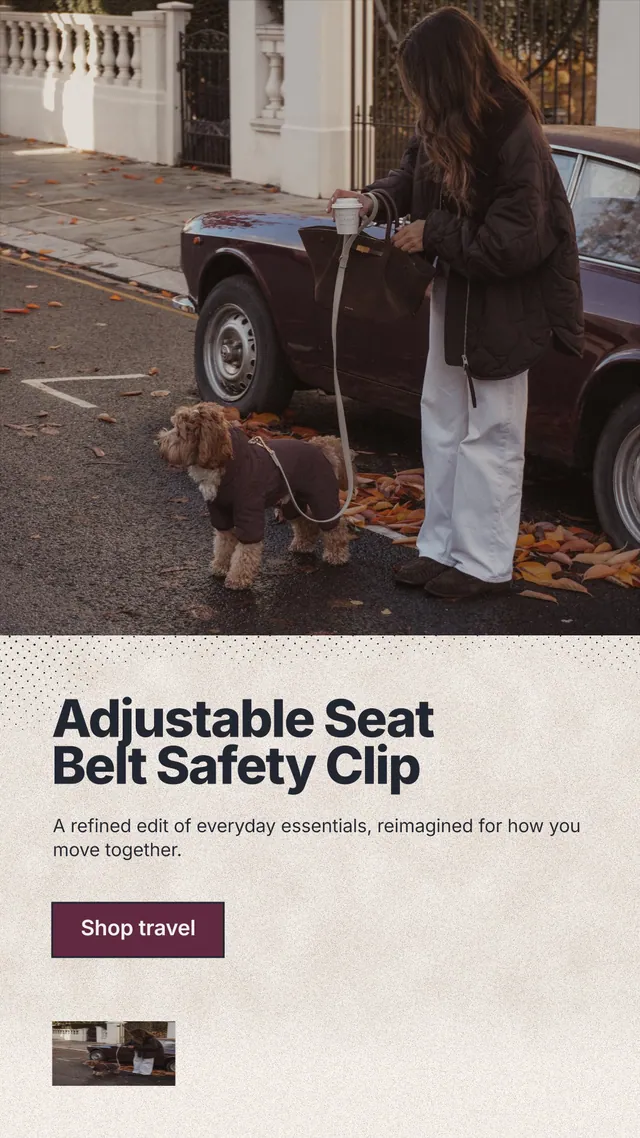 Instagram story for By Teddy: "Adjustable Seat Belt Safety Clip". Ink sticker style, bottom layout, light palette in grey, red, orange.
