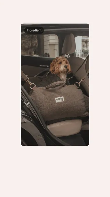 Video for By Teddy: "Premium Hardware: Matte gold hardware with monogram zip pulls". Before after wipe, 6.0 s, light palette.