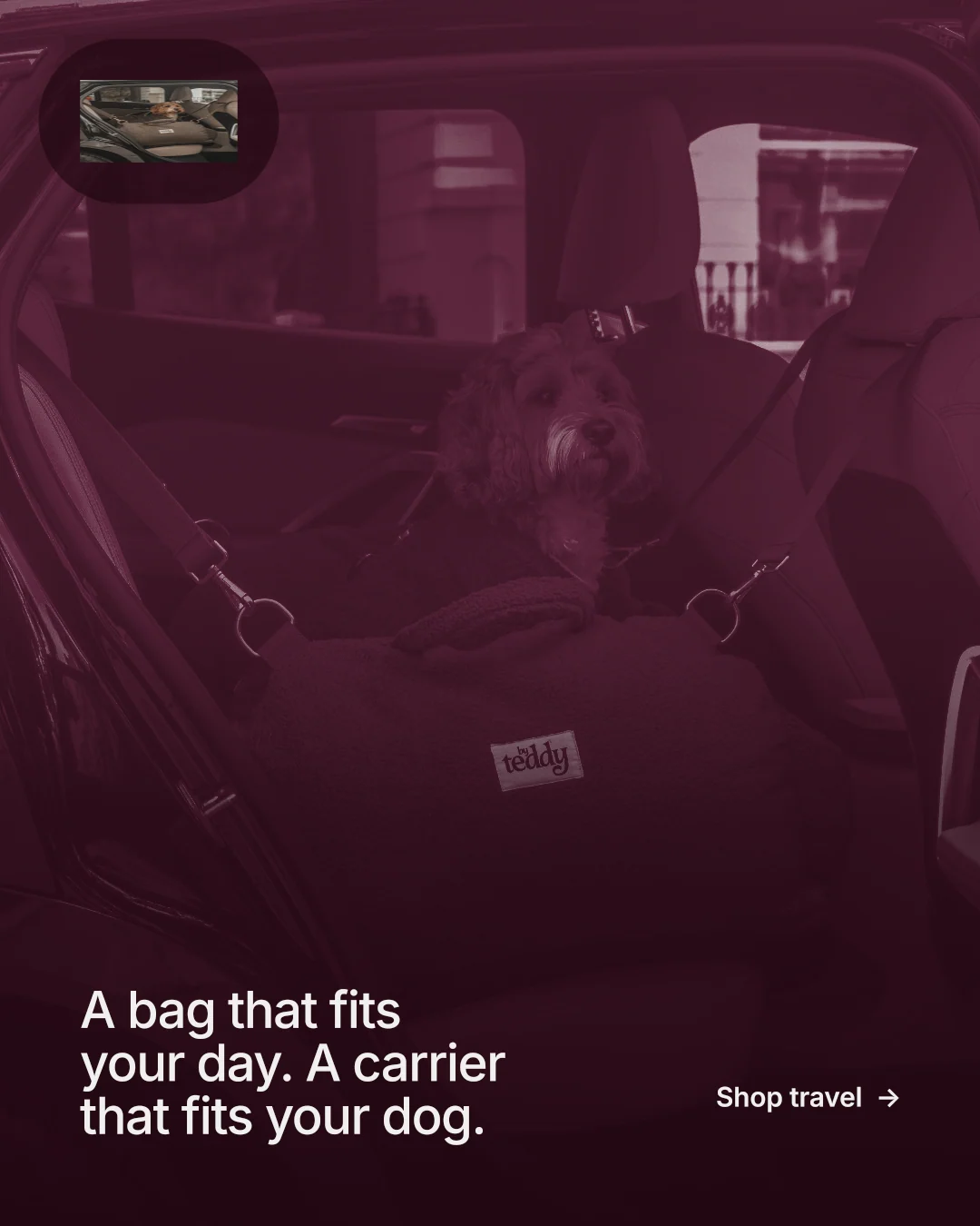 Instagram portrait post for By Teddy: "A bag that fits your day. A carrier that fits your dog." Cyanotype style, image led layout, dark palette in pink, black, red.