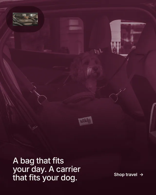 Instagram portrait post for By Teddy: "A bag that fits your day. A carrier that fits your dog." Cyanotype style, image led layout, dark palette in pink, black, red.