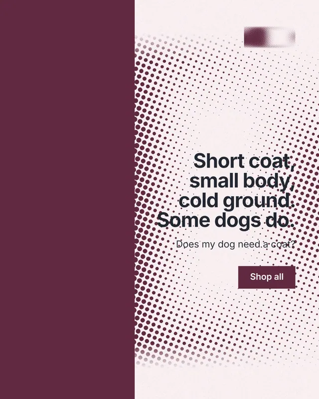 Instagram portrait post for By Teddy: "Short coat, small body, cold ground. Some dogs do." Swiss style, right layout, light palette in red, white, grey.