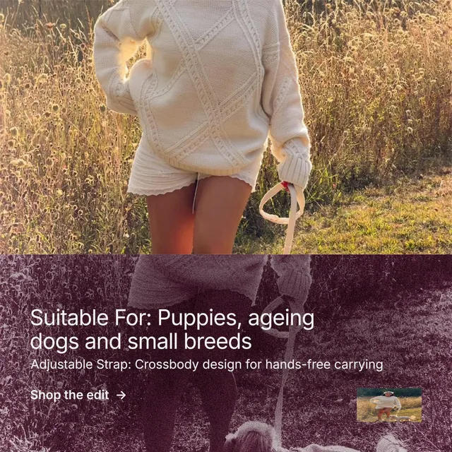 Instagram post for By Teddy: "Suitable For: Puppies, ageing dogs and small breeds". Film still style, bottom layout, dark palette in grey, red, orange.