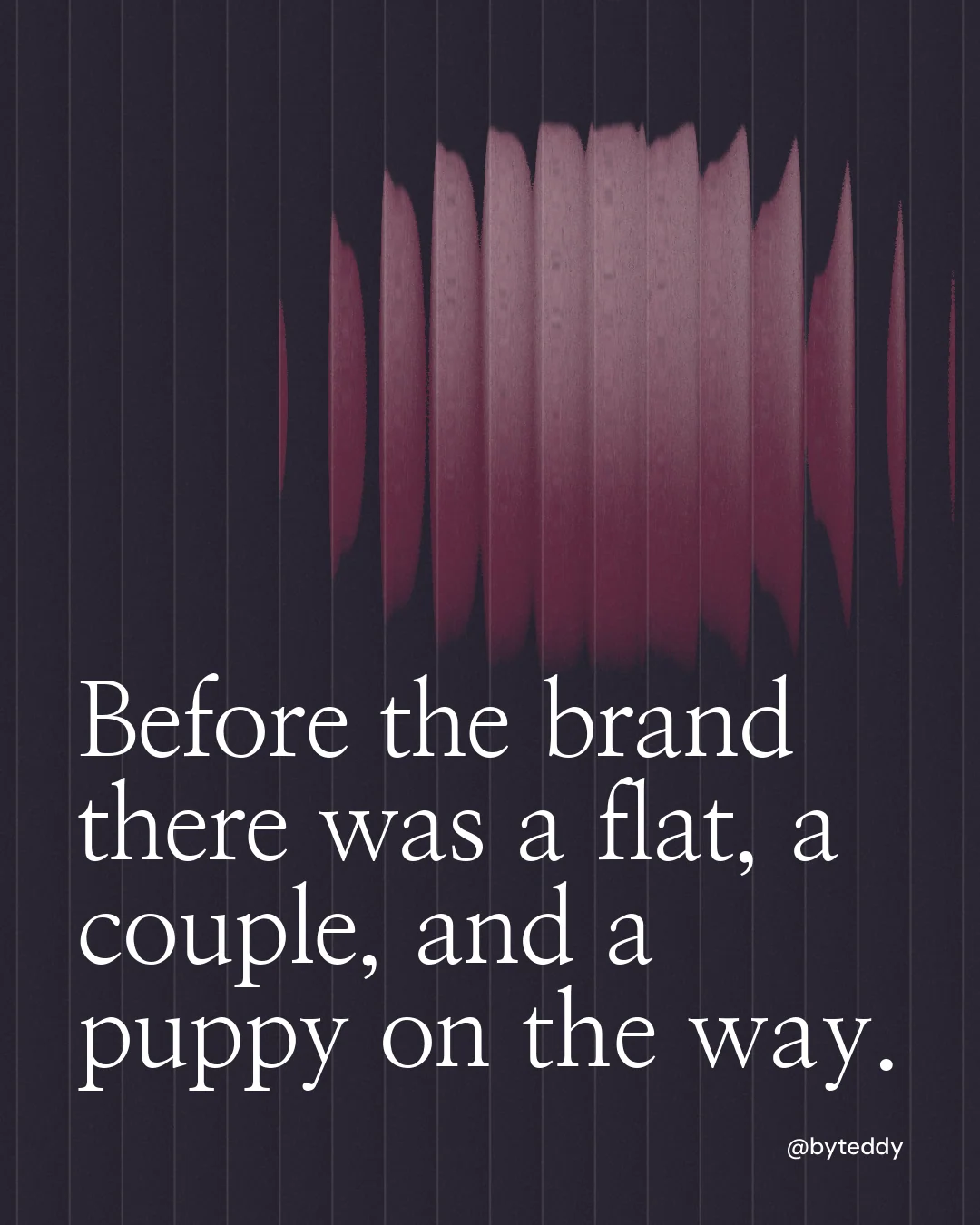 Instagram portrait post for By Teddy: "Before the brand there was a flat, a couple, and a puppy on the way." Auto 4x5 style, technique:shader field layout, dark palette in black, grey.