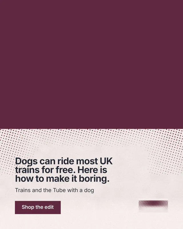 Instagram portrait post for By Teddy: "Dogs can ride most UK trains for free. Here is how to make it boring." Retro print style, bottom layout, light palette in red, white, grey.