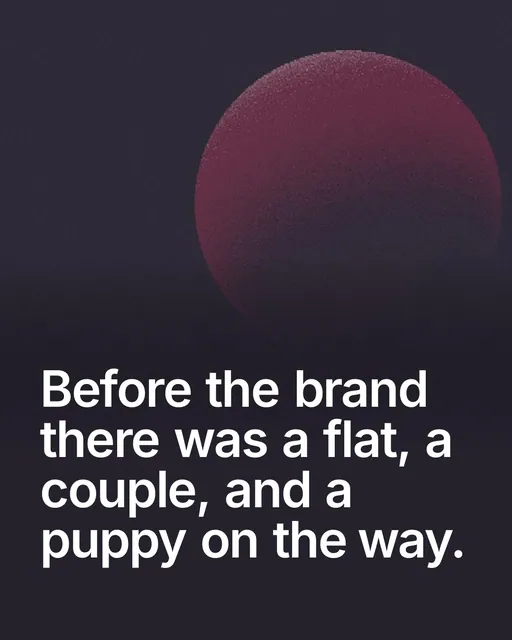 Video for By Teddy: "Before the brand there was a flat, a couple, and a puppy on the way.". Shader loop, 6.0 s, dark palette.