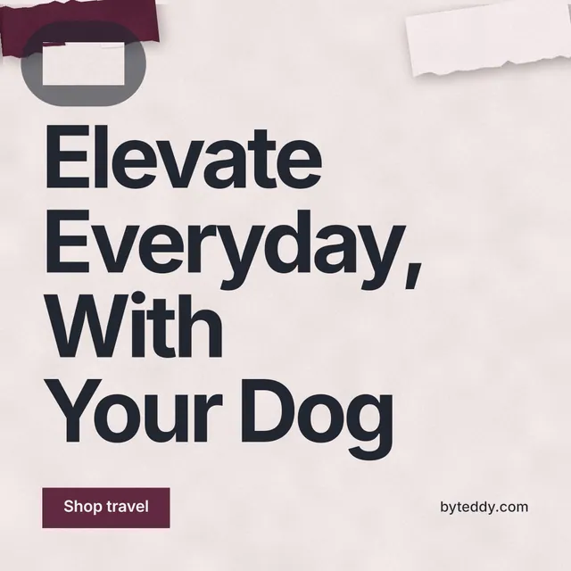 Instagram post for By Teddy: "Elevate Everyday, With Your Dog". Swiss style, poster layout, light palette in red, grey, white.