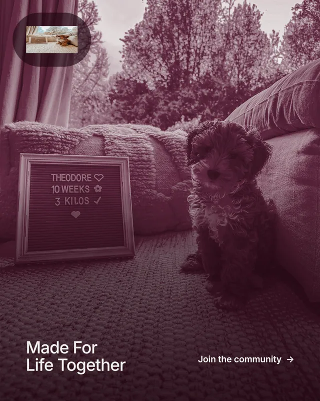 Instagram portrait post for By Teddy: "Made For Life Together". Cyanotype style, image led layout, dark palette in red, pink, grey.