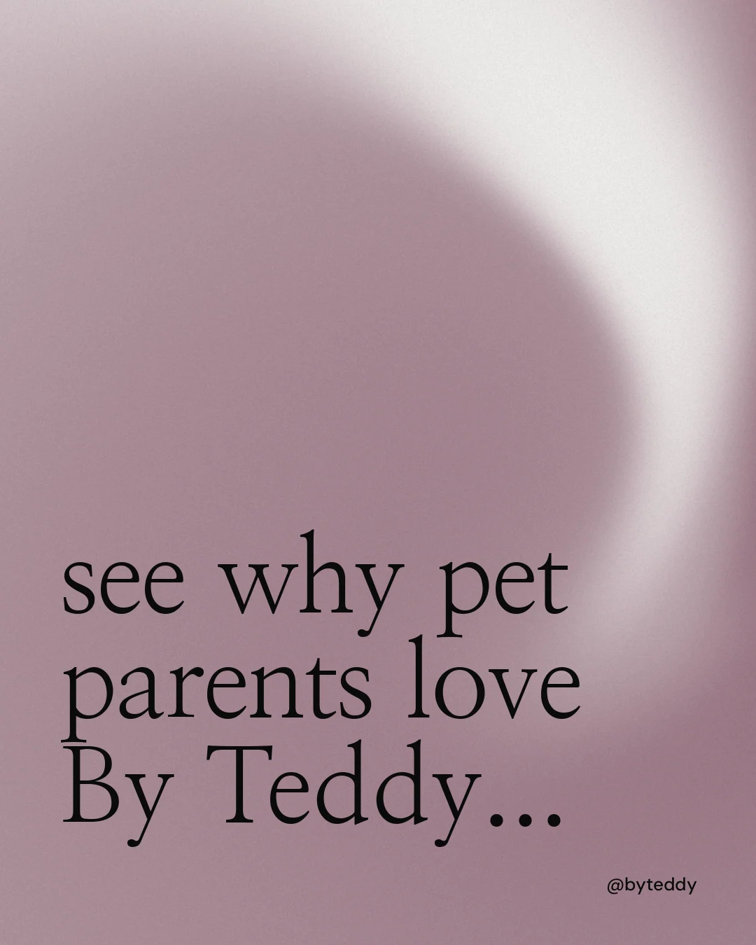 Instagram portrait post for By Teddy: "see why pet parents love By Teddy..." Auto 4x5 style, technique:shader field layout, light palette in grey.