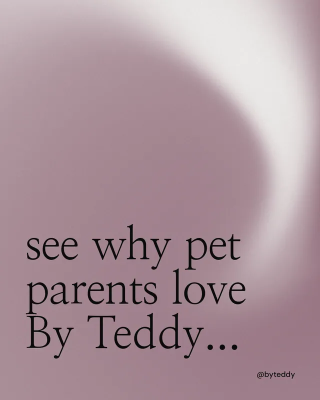 Instagram portrait post for By Teddy: "see why pet parents love By Teddy..." Auto 4x5 style, technique:shader field layout, light palette in grey.