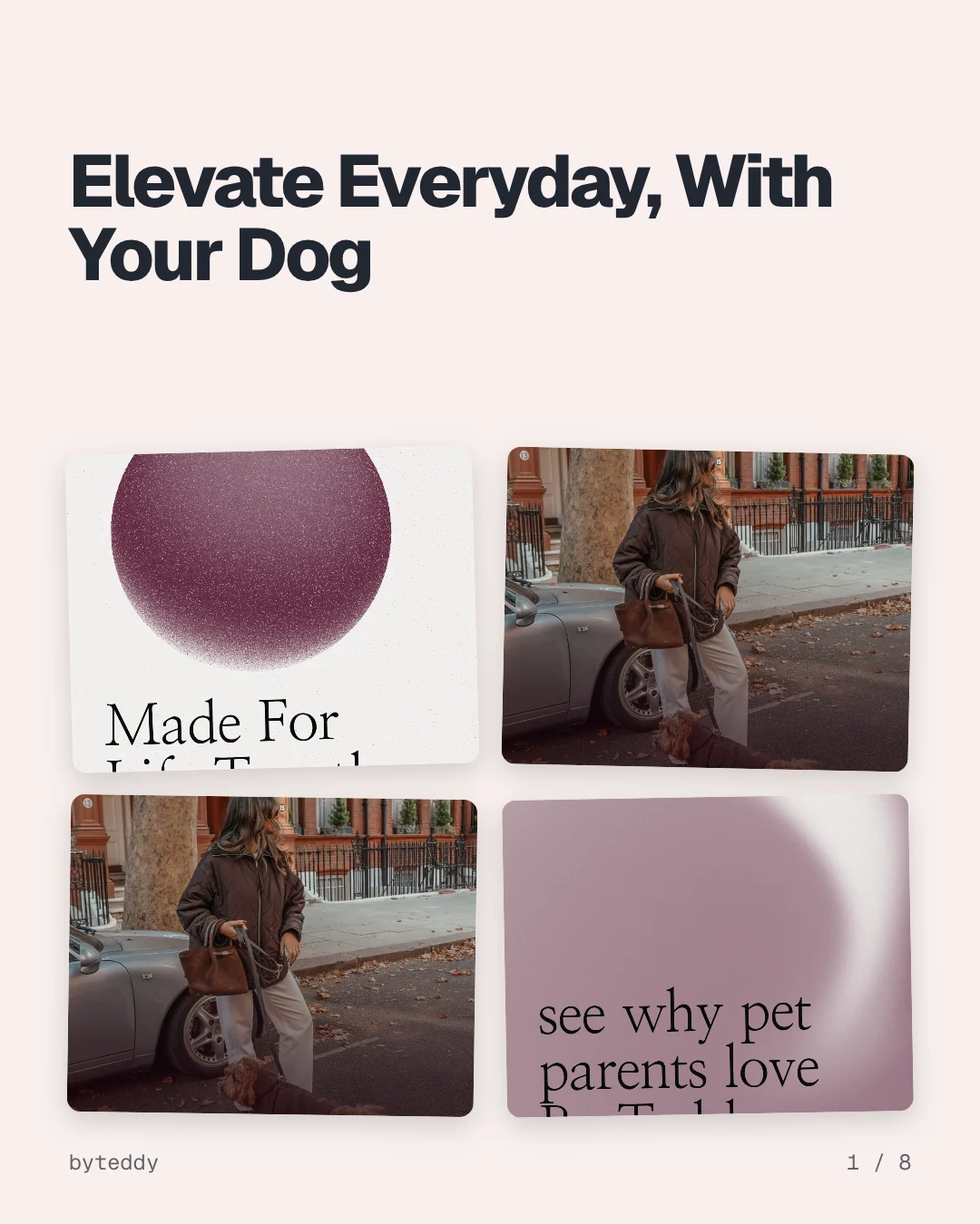 Carousel for By Teddy: "Elevate Everyday, With Your Dog". Collection carousel, 8 slides, light palette.