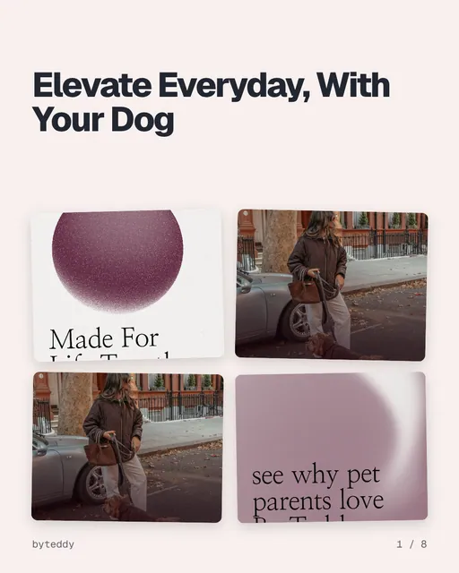 Carousel for By Teddy: "Elevate Everyday, With Your Dog". Collection carousel, 8 slides, light palette.